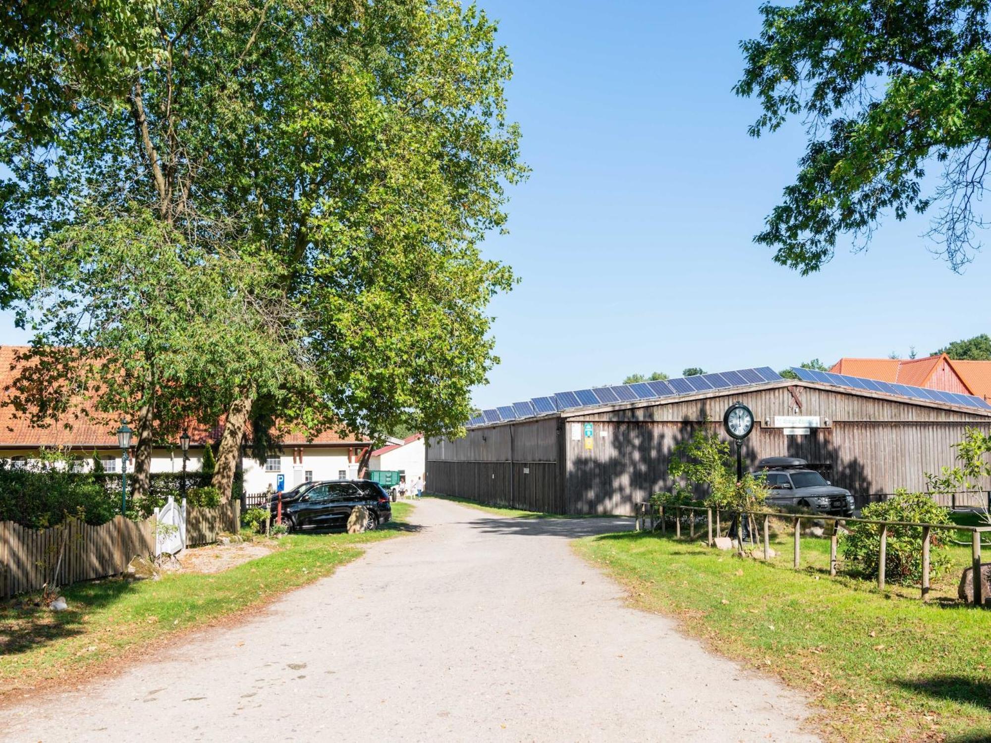 Holiday Home On A Horse Farm In The L Neburg Heath 에스치드 외부 사진