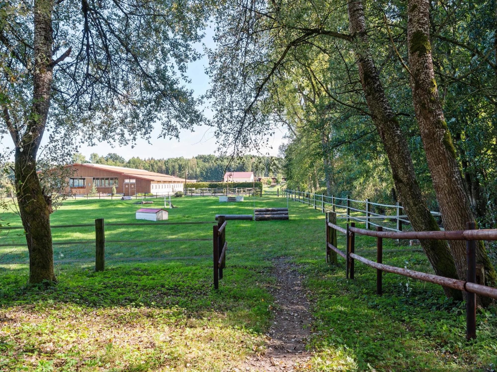 Holiday Home On A Horse Farm In The L Neburg Heath 에스치드 외부 사진