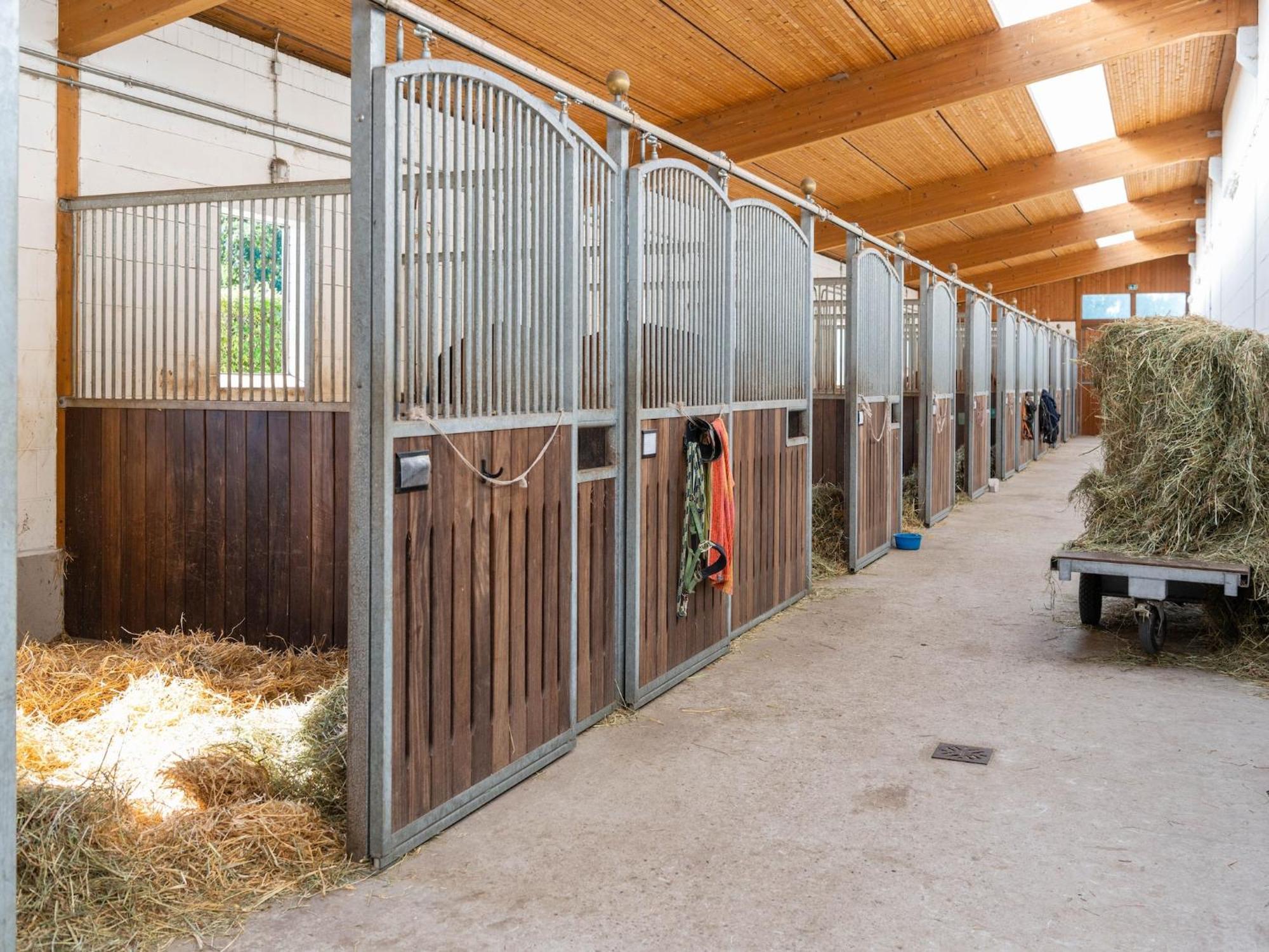 Holiday Home On A Horse Farm In The L Neburg Heath 에스치드 외부 사진