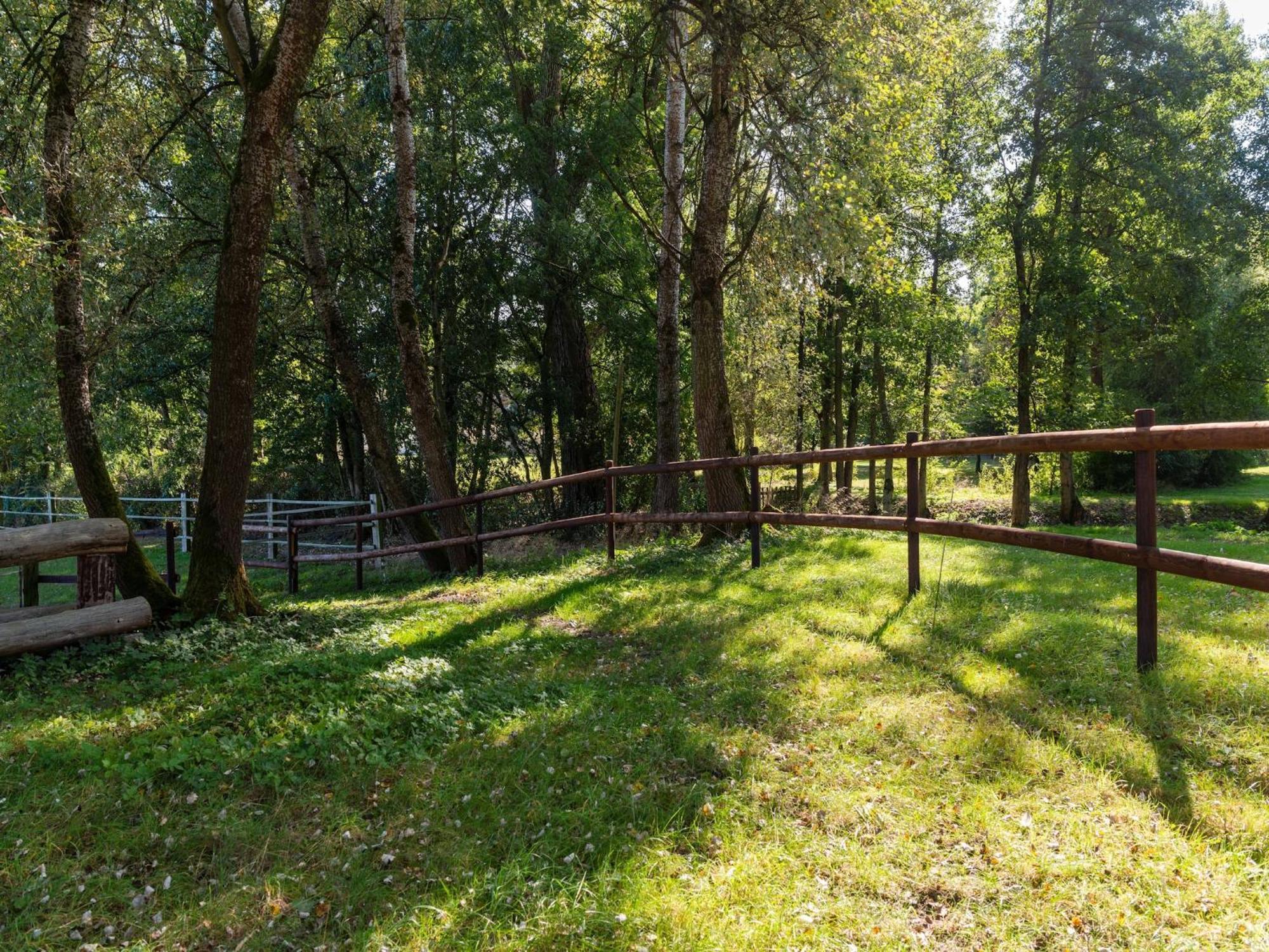 Holiday Home On A Horse Farm In The L Neburg Heath 에스치드 외부 사진