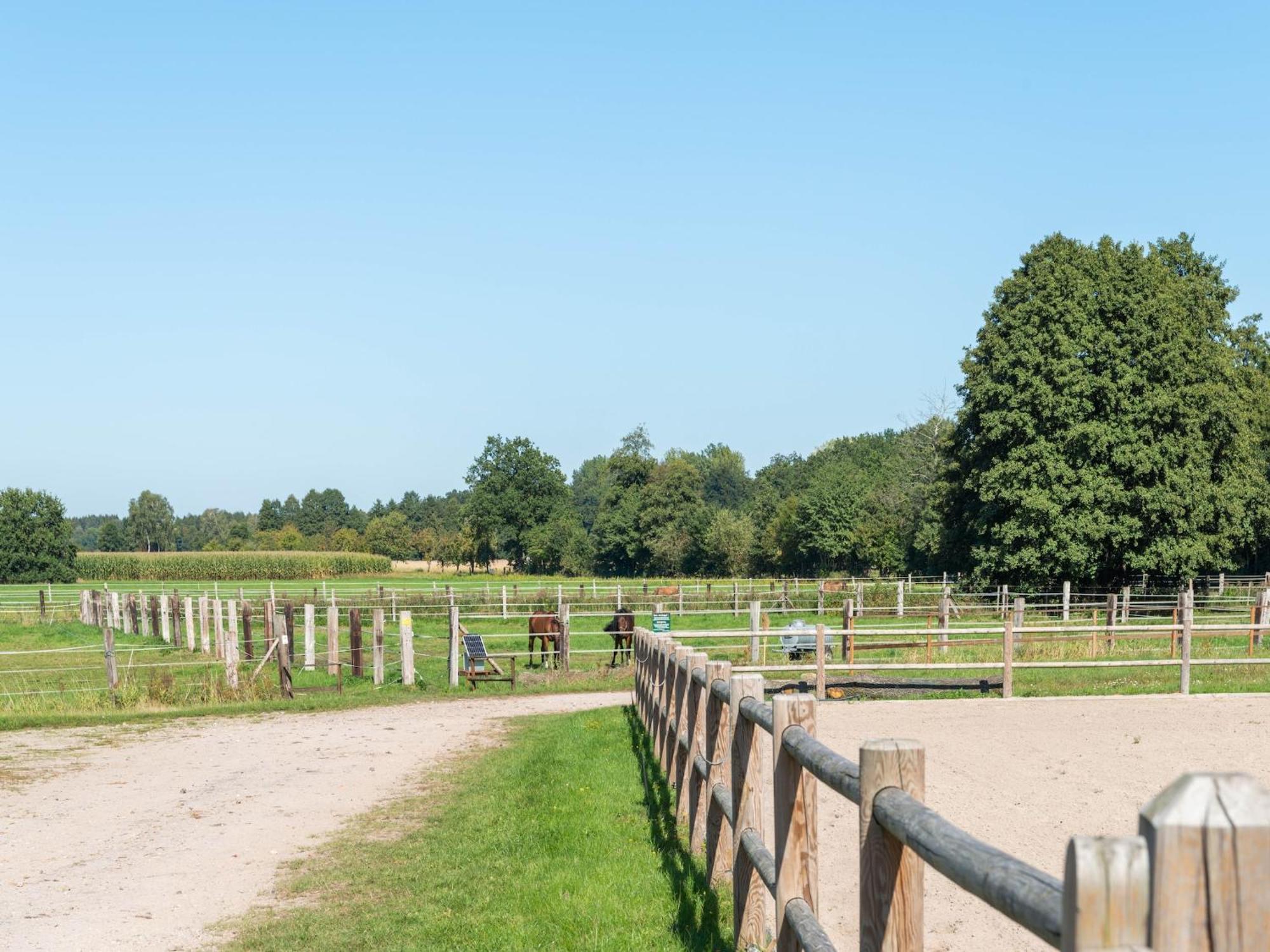 Holiday Home On A Horse Farm In The L Neburg Heath 에스치드 외부 사진