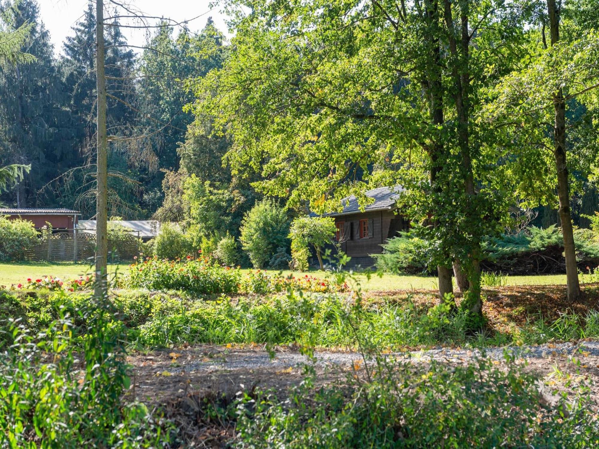 Holiday Home On A Horse Farm In The L Neburg Heath 에스치드 외부 사진