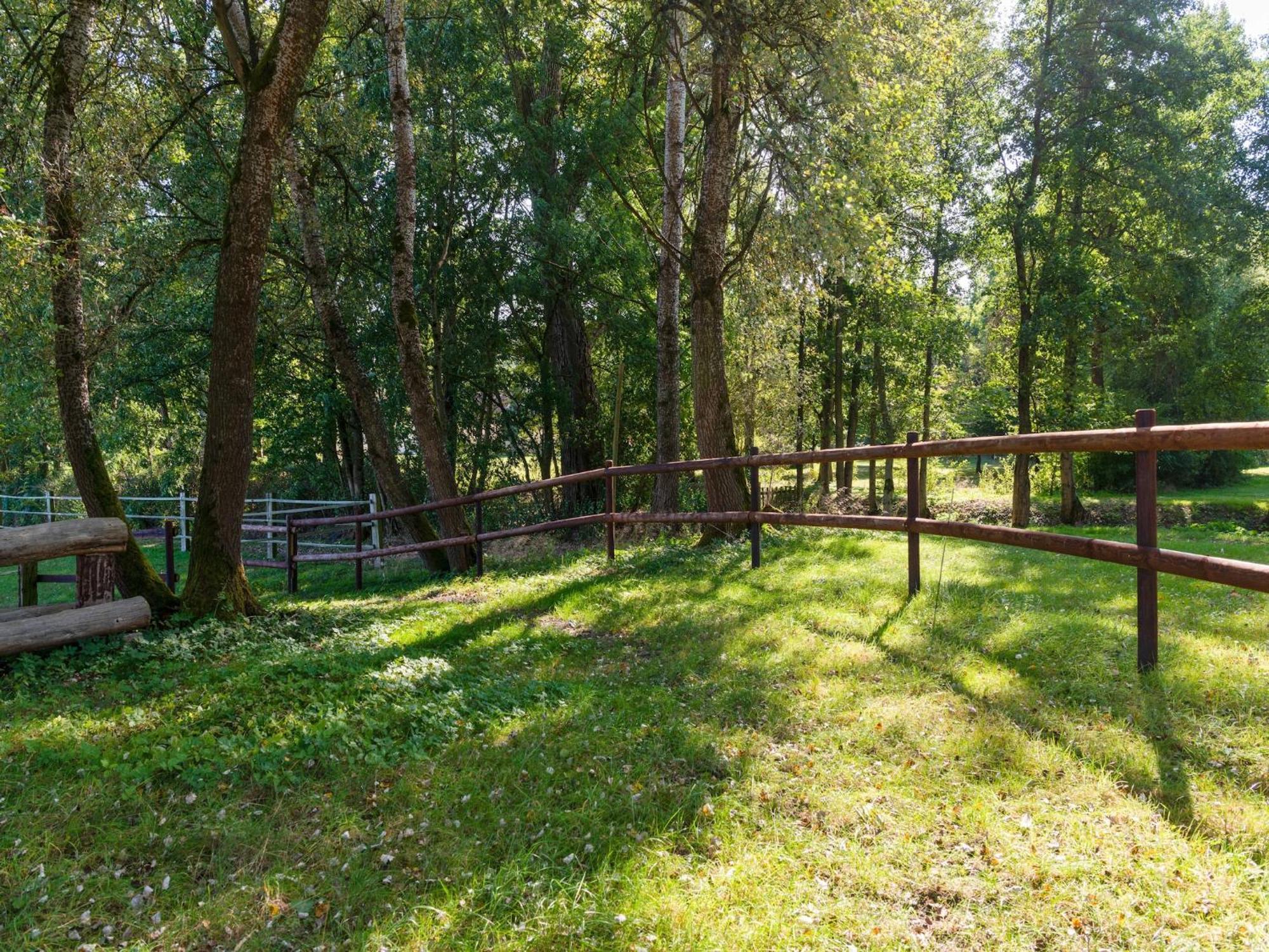 Holiday Home On A Horse Farm In The L Neburg Heath 에스치드 외부 사진